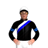 Jockey Silk