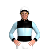 Jockey Silk