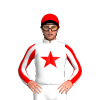 Jockey Silk