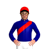 Jockey Silk