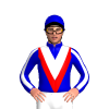 Jockey Silk