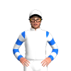Jockey Silk