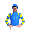 Jockey Silk