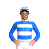 Jockey Silk