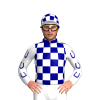 Navy Blue And White Checks, White Sleeves With Navy Horseshoes, Checked Cap