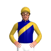 Navy, Gold Sash, Sleeves And Cap, White Pom Pom