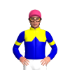 YELLOW, MEDIUM BLUE HALVES, MEDIUM BLUE DIAMOND BAND, MEDIUM BLUE SLEEVES, YELLOW ARMBANDS, Black cap