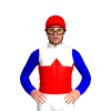 WHITE, RED RIGHT SASH, WHITE SLEEVES, RED DOUBLE ARMBAND, Yellow cap