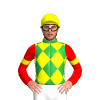 GREEN, YELLOW DIAMOND CHECK, RED SLEEVES, YELLOW ARMBAND, Black cap