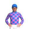BLUE, HOT PINK CHECK, CHECKED SLEEVES
