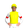 YELLOW, BLACK TWO ZIGZAG CHEVRON, WHITE SLEEVES, RED ARMBAND, Yellow cap