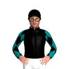 Black, Teal Diamonds Sleeves