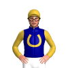 Navy Blue, Gold Horseshoe And Head, Gold Sleeves, Navy Blue Lightning Bolt, Gold Cap