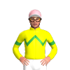 YELLOW, GREEN ZIGZAG CHEVRON, ARMBANDS, LIGHT PINK CAP, PURPLE CIRCLE CAP, WHITE PEAK