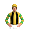 Jockey Silk