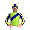 Jockey Silk