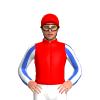 Jockey Silk