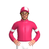 Jockey Silk