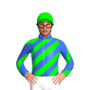 Jockey Silk