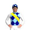 Jockey Silk