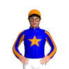 Jockey Silk