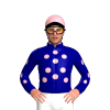 Jockey Silk