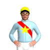 Jockey Silk