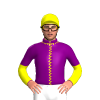 Jockey Silk