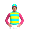 Jockey Silk