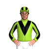 Jockey Silk