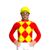 Jockey Silk