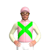 Jockey Silk