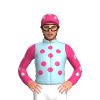 Jockey Silk