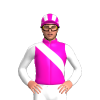 Jockey Silk