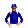 Jockey Silk
