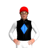 Jockey Silk