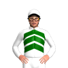 Jockey Silk