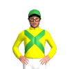 Jockey Silk