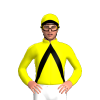 Jockey Silk