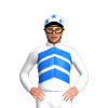Jockey Silk