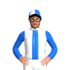 Jockey Silk