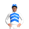 Jockey Silk