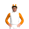 Jockey Silk