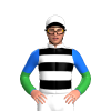 Jockey Silk