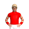 Jockey Silk