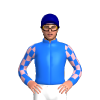 Jockey Silk