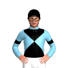 Jockey Silk