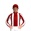 Jockey Silk