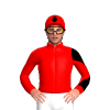 Jockey Silk