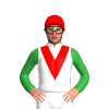 Jockey Silk